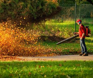 A man blows leaves with a backpack blower