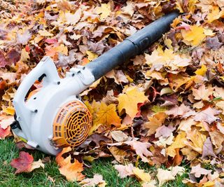 Leaf blower in autumn