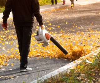 Clearing Leaves from a Sidewalk with a Leaf Blower